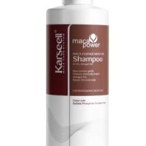 Karseell Argan Oil Shampoo Extract Moisturizing Deep Repair Smooth Shampoo for Dry and Damaged Hair 16.9Oz 500ml
